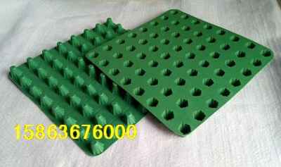 湖北十堰樓頂綠化塑料排水板市場迎來新機(jī)遇，建筑建材行業(yè)綠色轉(zhuǎn)型提速